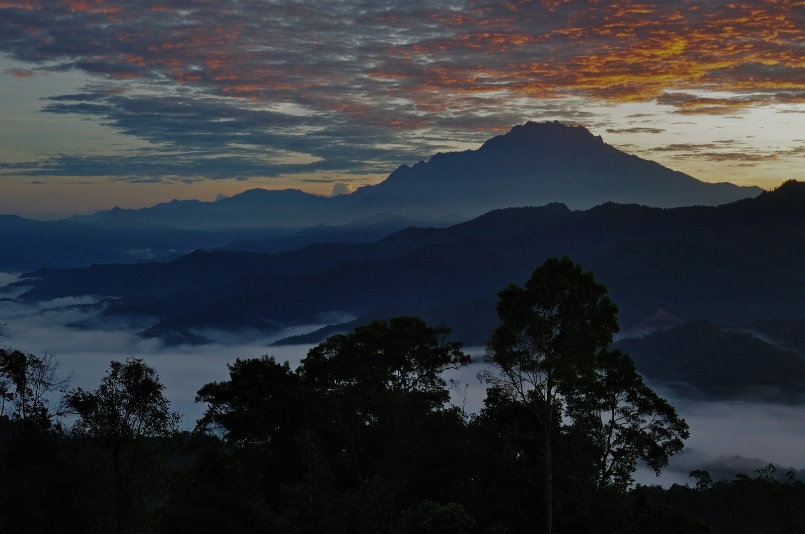 Image of EXO Foundation